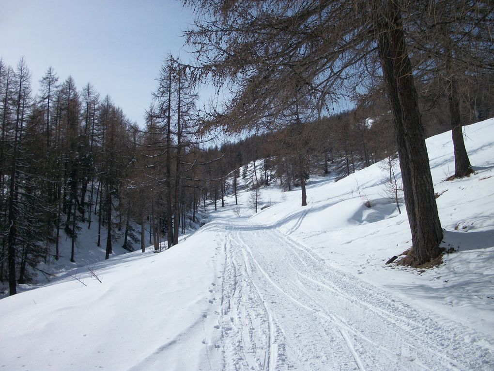 Le Piemont Italien est un vrai paradis pour le ski de fond et le ski nordique : Bardonnechia / Pian del Colle / Vallée Etroite,  Sestrière / Monte Rotta, Pattemouche / Val Troncéa, Clavière / Refuge Gimont, Colle Bercia, Sagna Longa, Bousson/ Refuge Mautino / Col Bousson