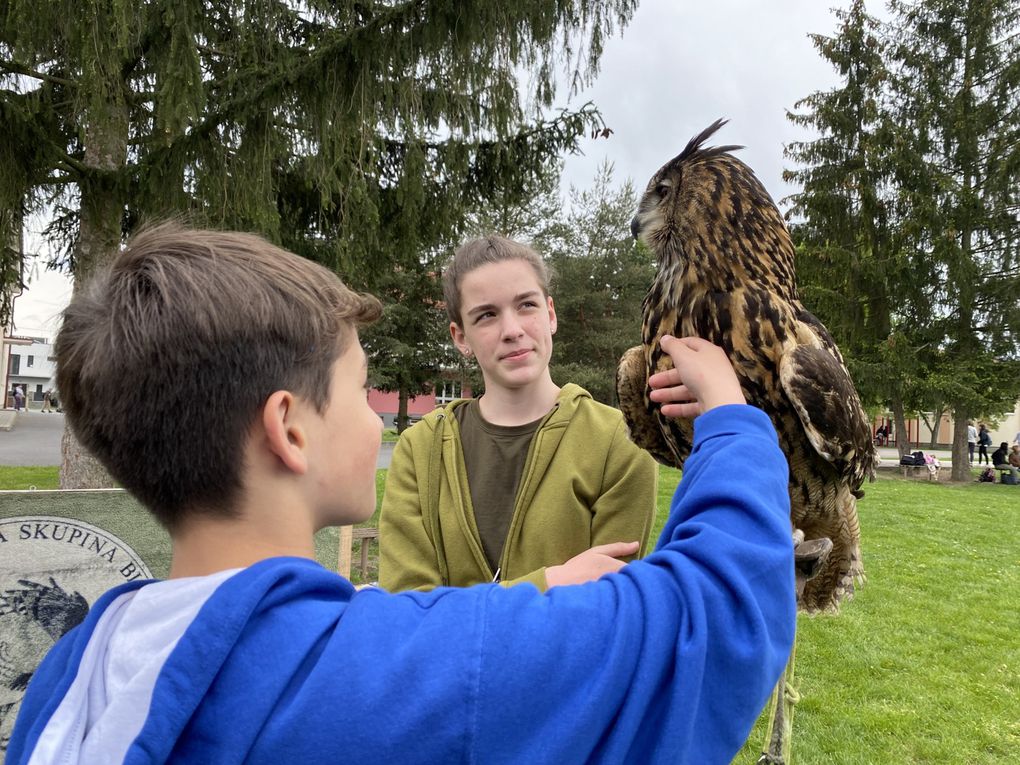 SL23 RSC Falconry- Living UNESCO Heritage