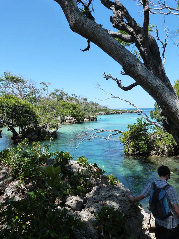 Welkam to Vanuatu! A la recherche de Tom, visite de l'île d'Efate et un saxo au Vanuatu...