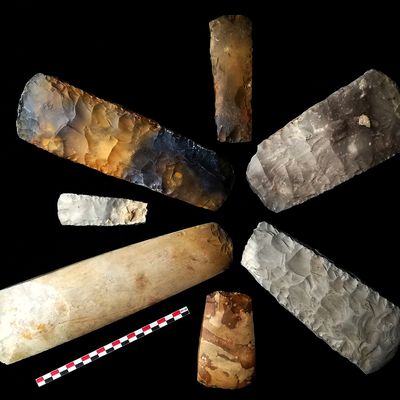 Lame de hache en silex à talon fin. "thin-butted-axe"/ Danemark 