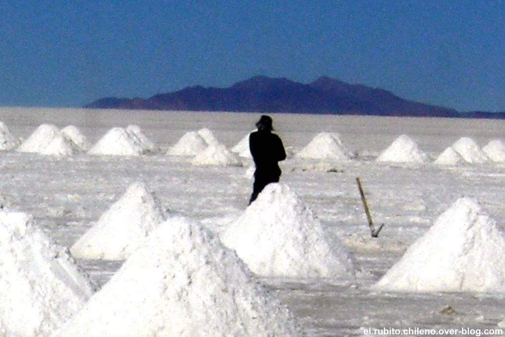 Levé de soleil depuis la Isla de Incahuasi. Traversé d'une des merveilles naturelles du monde. Le plus grand désert de sel du monde. Du blanc à perte de vue et un ciel bleu extraordinaire.