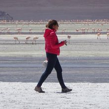 Bolivie – Uyuni et La Paz