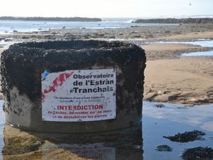 Fischschleuse an der Pointe du Grouin du Cou