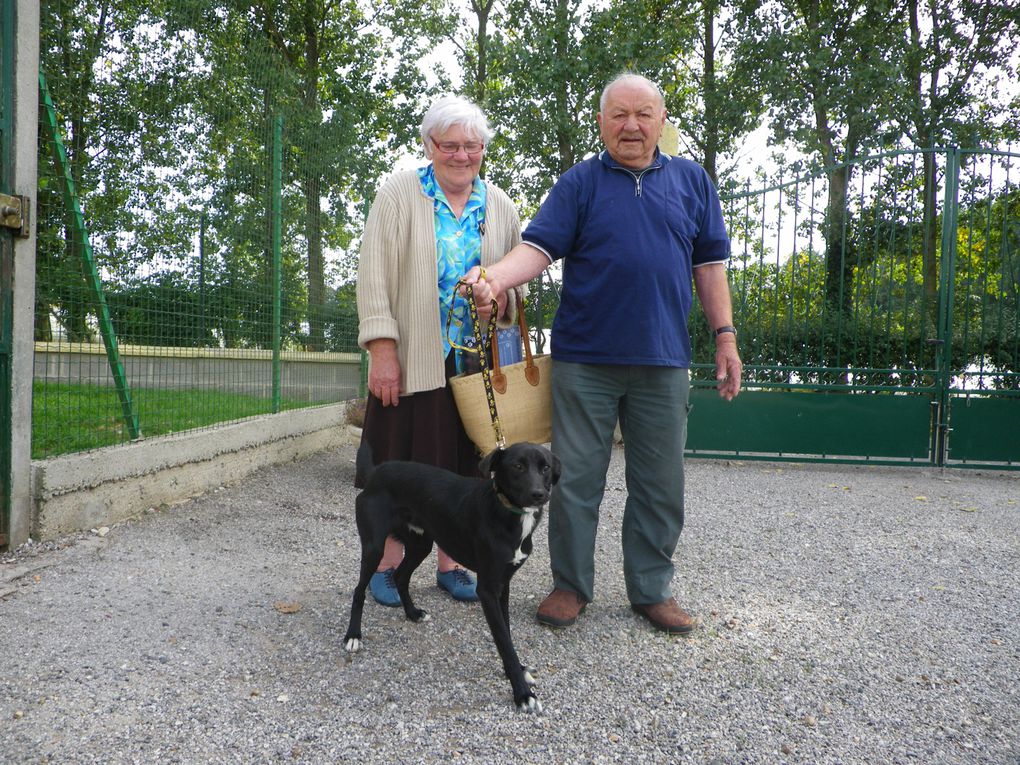 Album - CHIENS-ADOPTES-juillet-août-septembre-10.