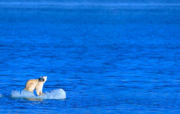 La Terre vit sa période la plus chaude depuis 2 000 ans