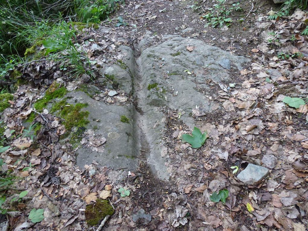 La porte romaine et la flore sur son chemin