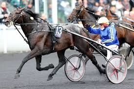 14 Novembre  2016  -   VINCENNES   C-2   TROT Attelé
