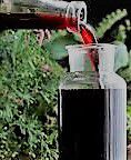 #Elderberry Wine Producers Illinois Vineyards