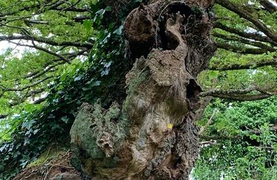 Quelque part dans le périgord vert