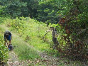 Les 14 segments du Waitukubuli National trail de la Dominique