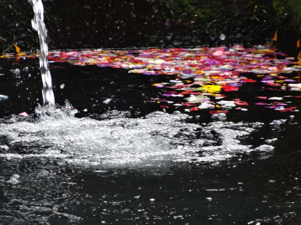 Album - 58.Alentours de Ubud (Bali-avril)