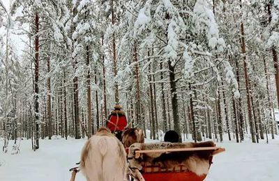 A la découverte de la Finlande