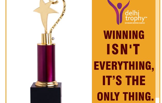 Beautiful Trophies Awards & Mementos in India - Delhi Trophy