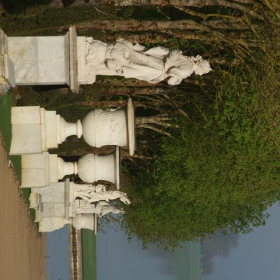 Rang des vases au jardin.