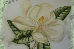 Magnolia nel linguaggio dei fiori: dignità