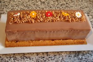 ENTREMET BÜCHE TOUT MARRON