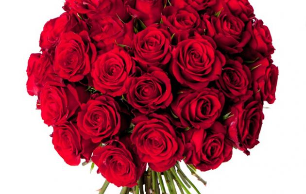 Bouquet de rose rouge enorme