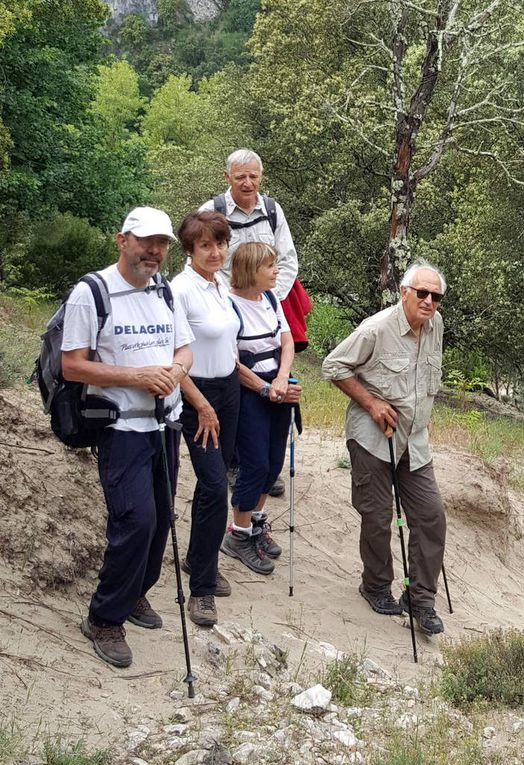 Dernier jour. Monique, Philippe et Bernard sont partis... Courte balade le matin dans une nature magnifique, un peu sportive. Brigitte avait Alain à ses pieds...a