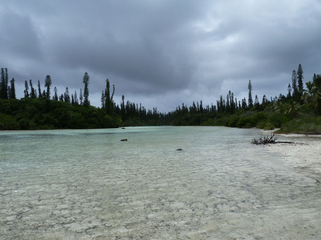 Album - Nouvelle-Caledonie-Iles-des-Pins