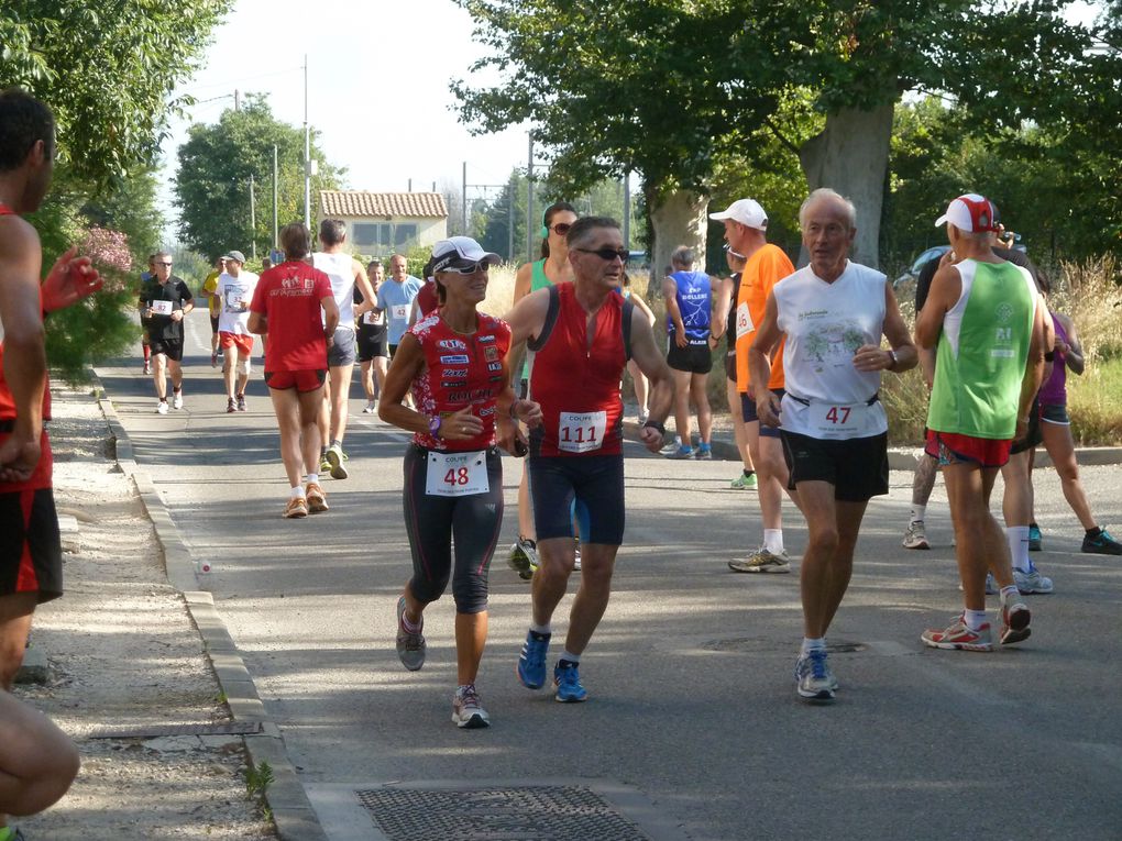 Album - 10km-courthezon-2013