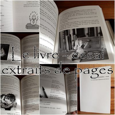 Le livre-essai