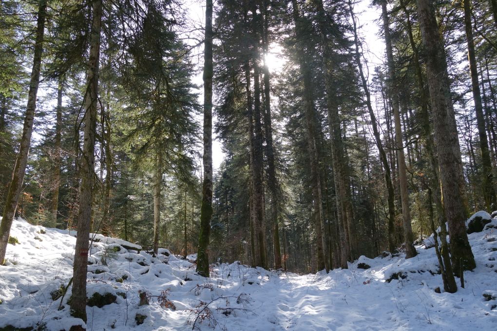 Séjour Jura 2023