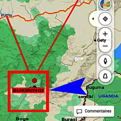 Bukiringi ; Un groupement qui s'étale surtout par des produits agricoles !