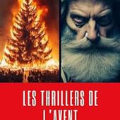 Critique de Les Thrillers de l'avent: 24 histoires sordides en attendant Noël... - Benjamin Perrier par patrickjamesnc