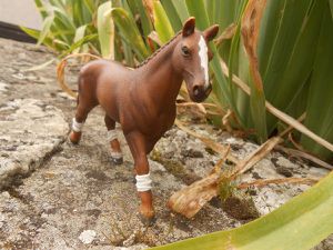 Comtesse sur la falaise