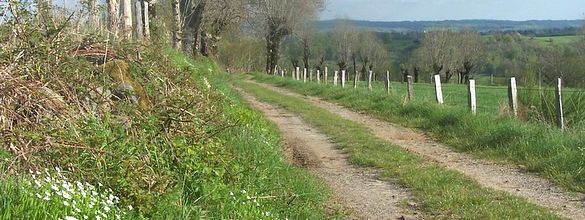 "Un chemin, une école", l'échappée belle des enfants de Therondels