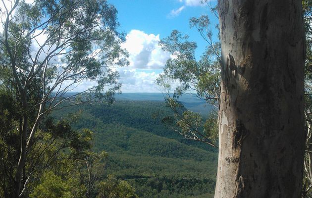 Petite virée 'professionnelle' à Toowoomba