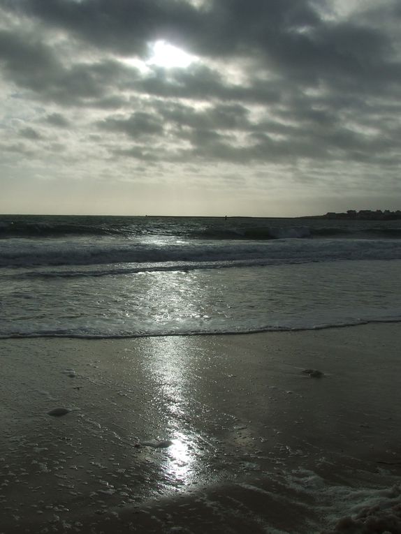 Les photos du mois de Décembre 2009, surtout des plages ...
En bonus, j'en ai rajouté d'autres prises en aout et juillet que je n'avais pas eu le temps de mettre en ligne ... Amusez vous à trouver lesquelles ...