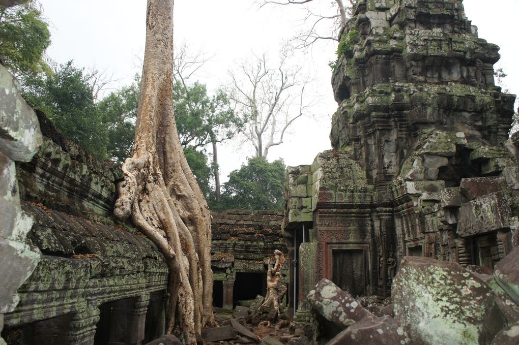 Album - Angkor-mars-2011