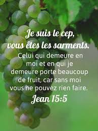 Evangile du Mercredi 10 Mai « Celui qui demeure en moi porte beaucoup de fruit » (Jn 15, 1-8)