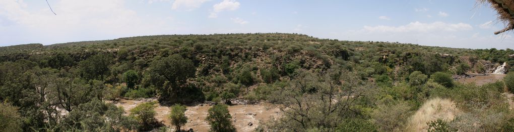 Awash National Park, Rift Valley, East Ethiopia. Fauna and Flora around the park and the Awash river.