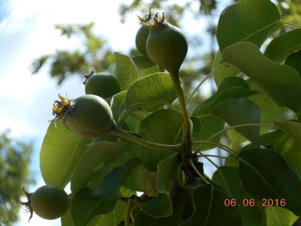 De Nans les Pins, la Mantelette, les Sources de l’Huveaune