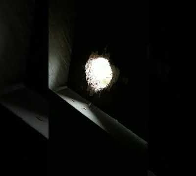 Visite matinale de Môsieur Pic vert à la fenêtre de ma chambre en vue de nidification éventuelle...