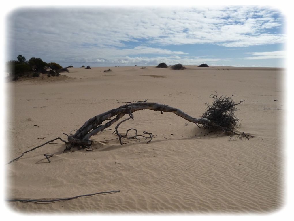 Album - Mildura - Mungo National Park