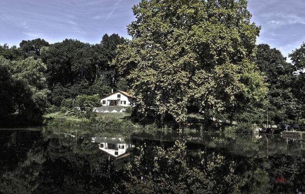 Landes: maison sur le bord du lac.