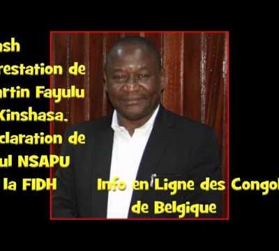 Arrestation de Martin Fayulu à Kinshasa, déclaration de Paul Nsapu de la FIDH