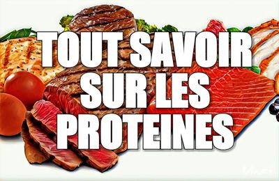 TOUT SAVOIR SUR LES PROTEINES: Les meilleures SOURCES de PROTÉINES et POURQUOI 