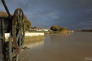 CK/Mer : AG à Rochefort, la Boutonne en automne