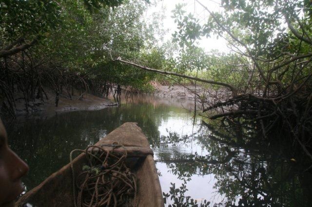 Album - casamance-senegal