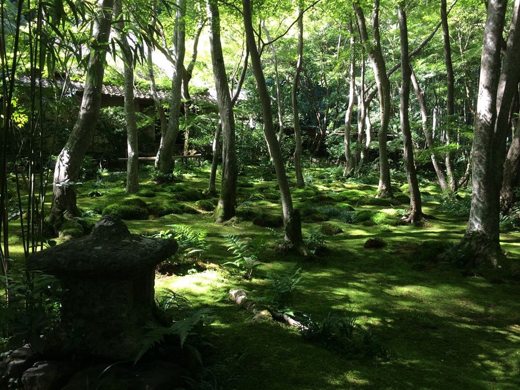 Arashiyama et la forêt de bambou.