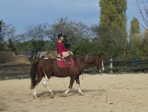 Séance cheval d'amazone!