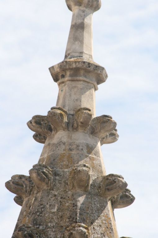 palais des papes  le pont d avignon et ces monuments