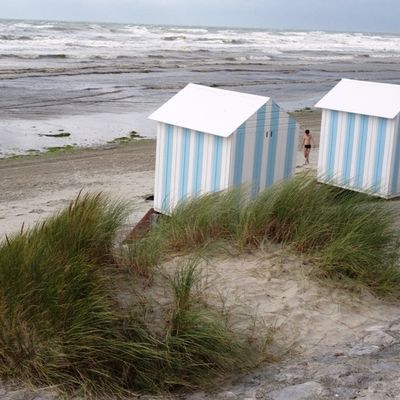 UNE BELLE ACTION CITOYENNE...PAR 300 ÉLÈVES DE LA CÔTE D'OPALE...