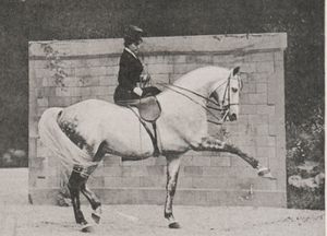 Equitation en amazone : Thérèse Renz ou Rentz