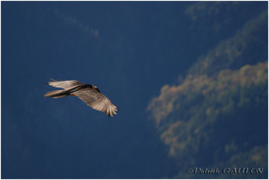 Album - Dans-le-ciel-de-la-vallee