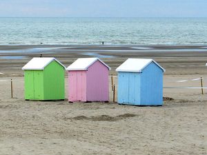 champignon (sem43)   - Trio (sem44)  cabines de Berck-hirondelles-mésanges-moineaux-daims-pigeons-verdiers 